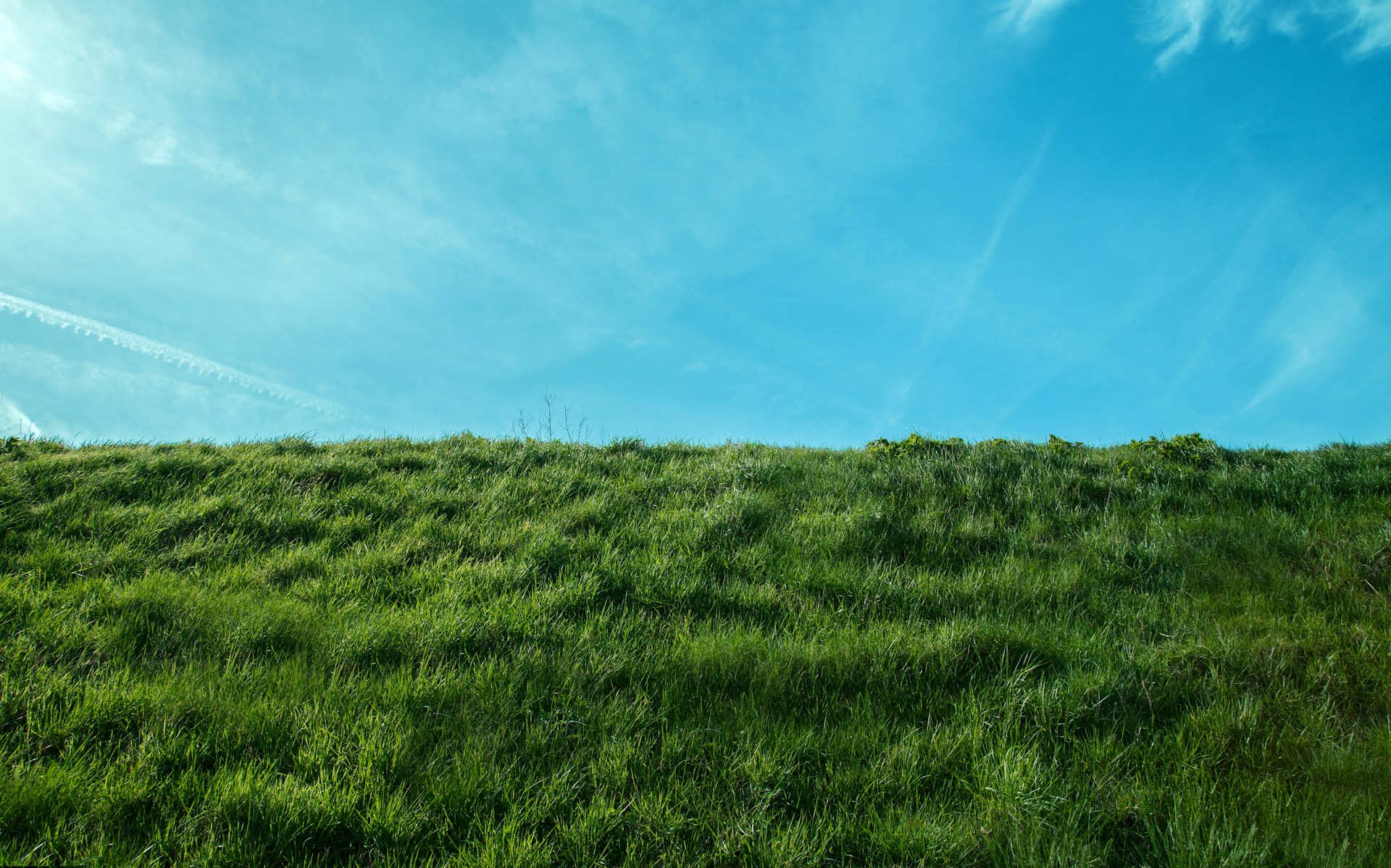 Spring banner